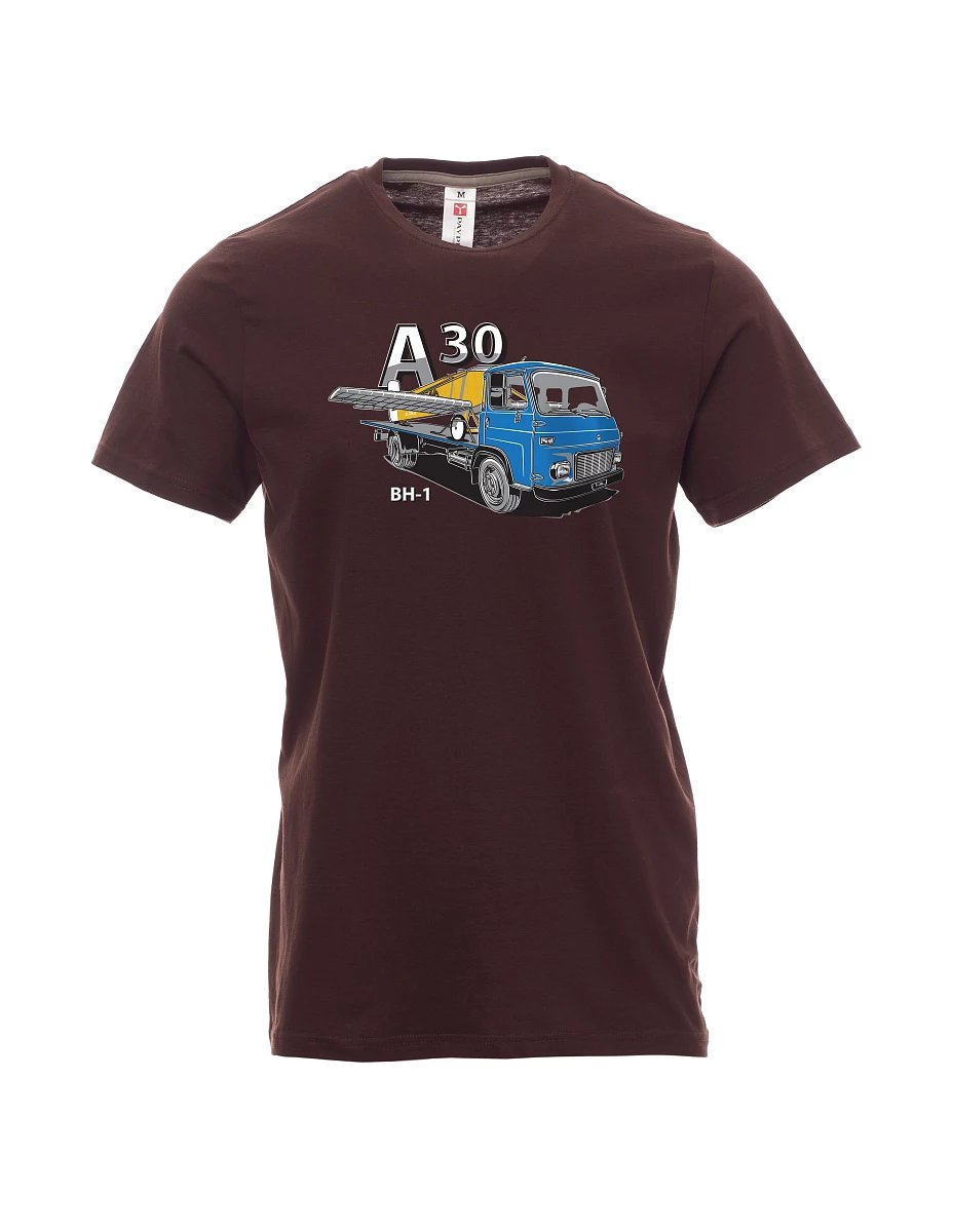 Męski t-shirt ciemny brąz Avia A30 oraz samolot BH - 1