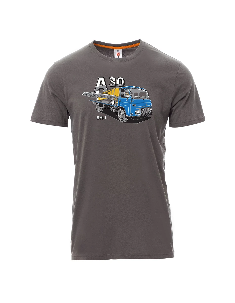 Męski t-shirt szary Avia A30 oraz samolot BH - 1
